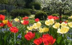 campagne jardin.jpg
